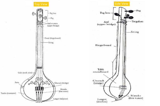 Physical Characteristics of Tanpura