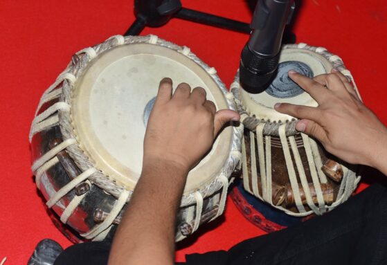 Top 10 Hindustani Raagas Every Music Student Should Know