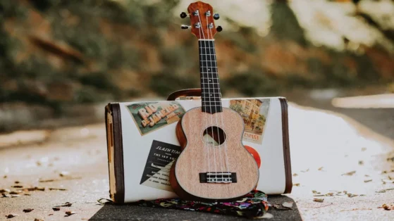 Exploring Ukulele Genres