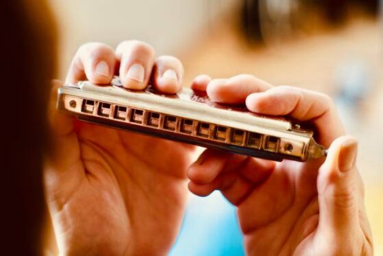 The Harmonica
