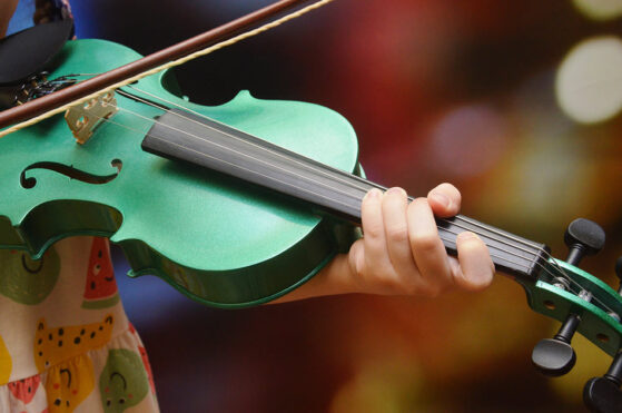 Violin
