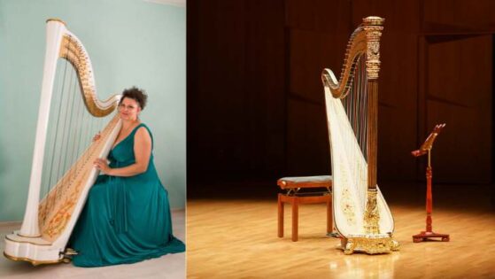 Salvi Concert Grand Harp,