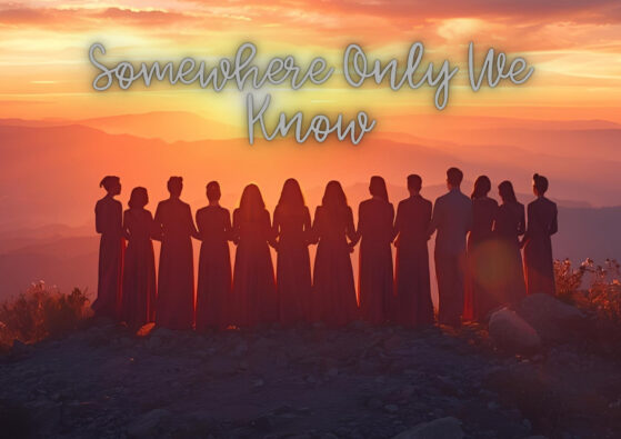 Somewhere Only We Know