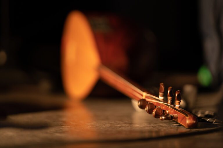 Differences Between Hindustani and Carnatic Music